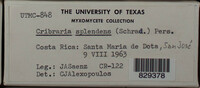 Image Associated With the Occurence
